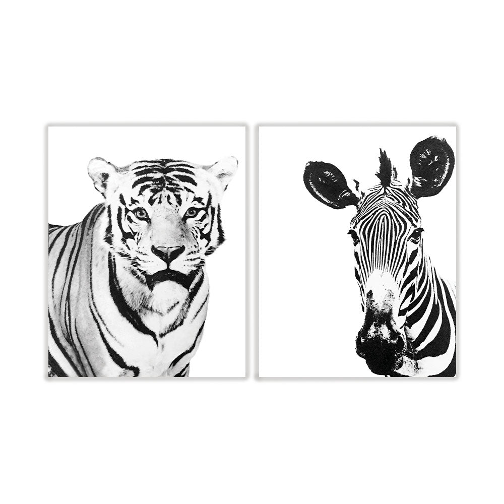 Pack tigre y zebra