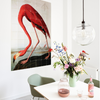 Cuadro Decorativo IXXI Flamingo Audubon