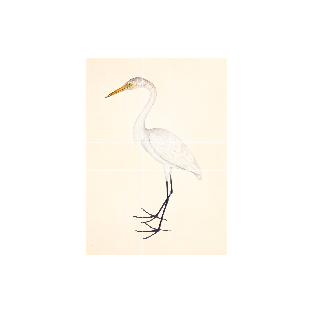 Cuadro Decorativo IXXI Great Egret