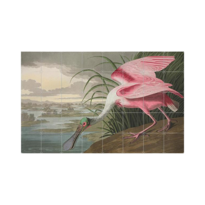 Cuadro Decorativo IXXI Roseate Spoonbill 100 x 160