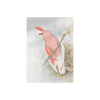 Cuadro Decorativo IXXI Pink Cockatoo 100 x 140