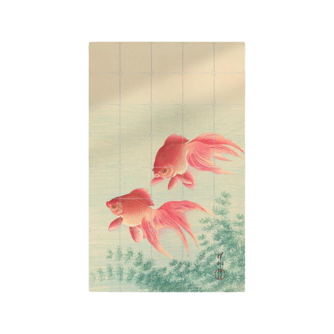 Cuadro Decorativo IXXI Pequeño Two Goldfish 80 x 120