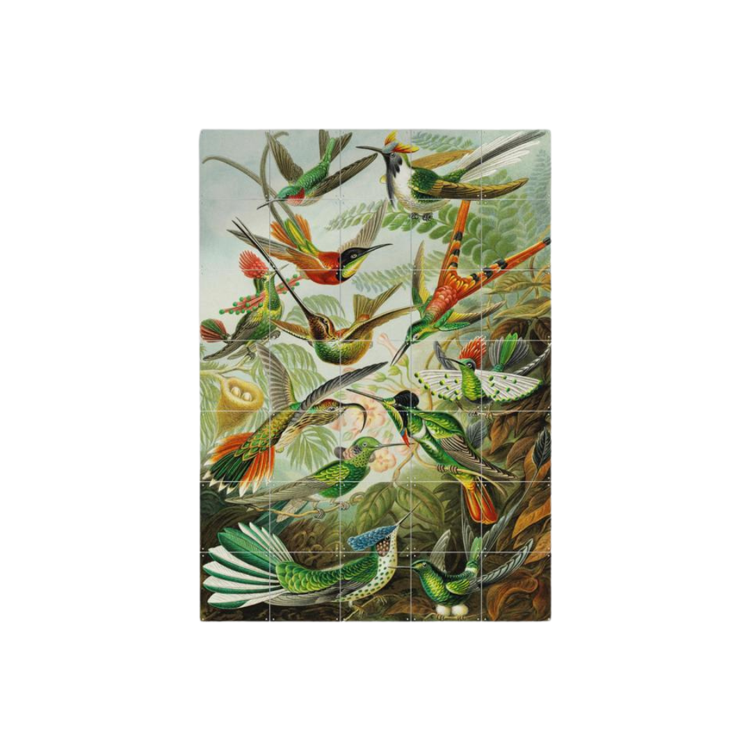 Cuadro Decorativo IXXI Pequeño Hummingbirds 60 x 100