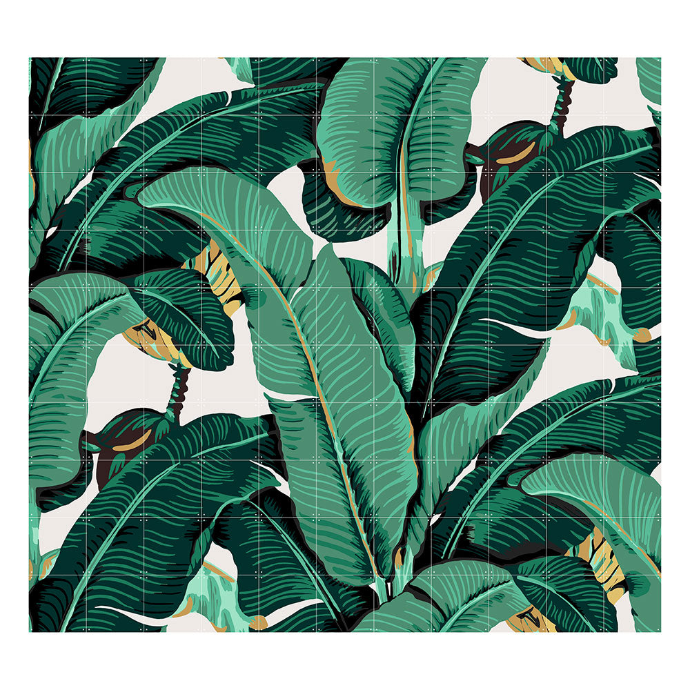 Cuadro decorativo IXXI - Banana Leaf Hinson 220 x 200