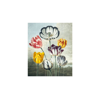 Cuadro decorativo IXXI - Tulips