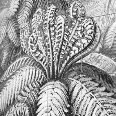 Cuadro decorativo IXXI - Ferns