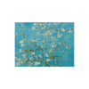 Cuadro decorativo - Almond Blossom