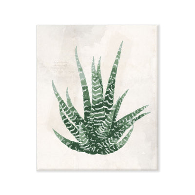 Aloe vera canvas