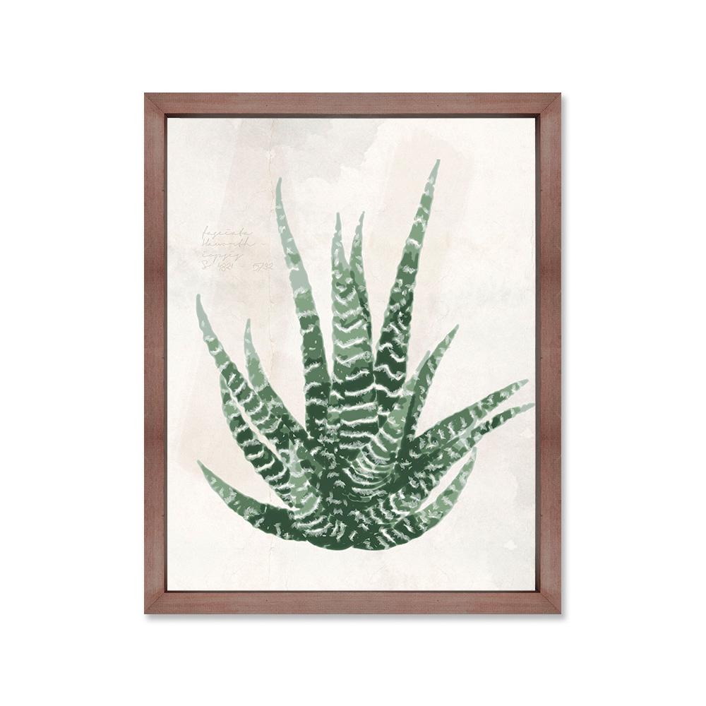 Aloe vera canvas con marco