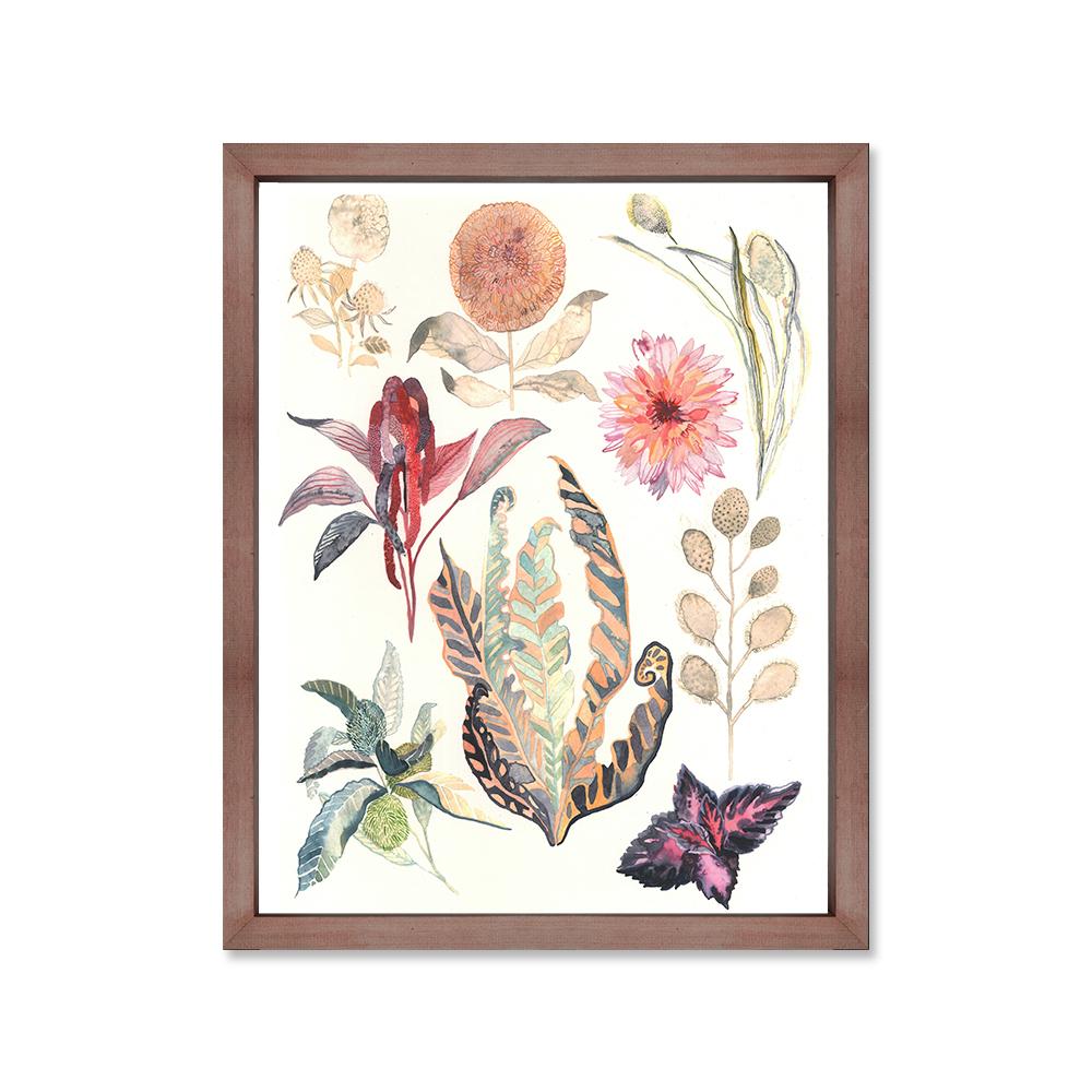 Suculenta flor canvas con marco