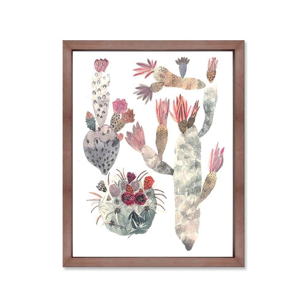 Suculentas cactus canvas con marco