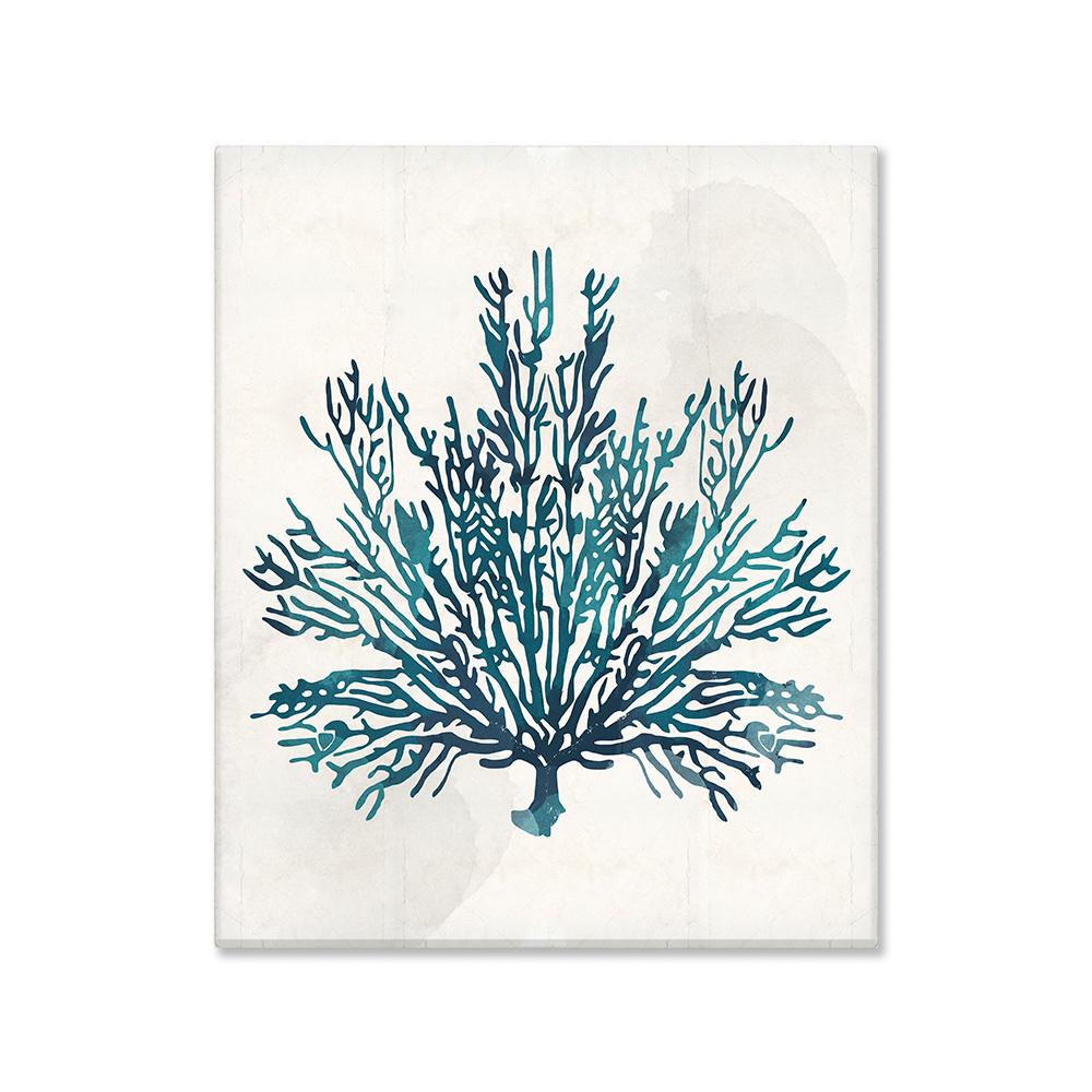 Coral beige delgado canvas