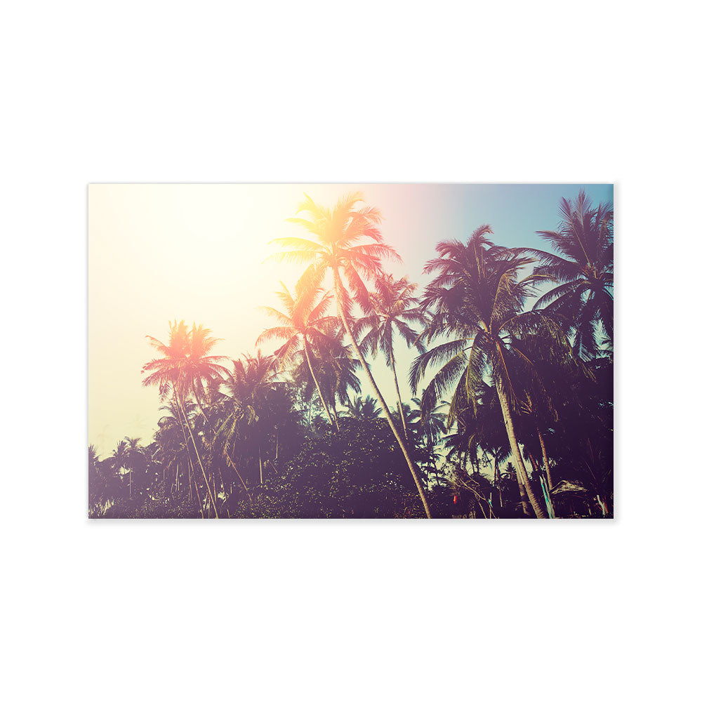 Palmeras canvas
