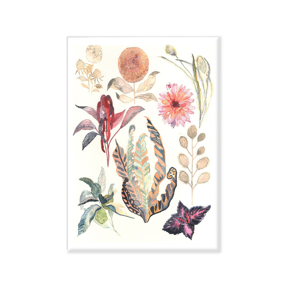 Suculenta flor canvas