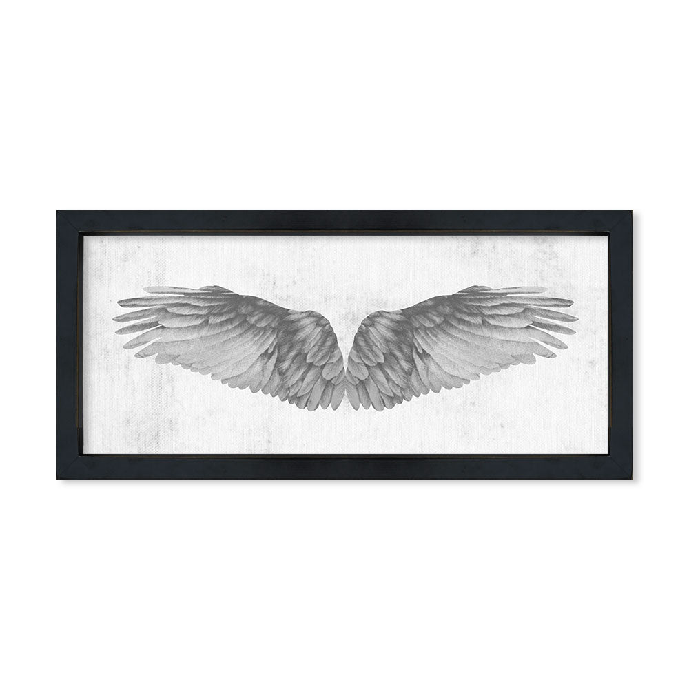 Ala pluma blanco y negro horizontal