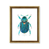 Escarabajo turquesa