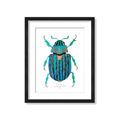 Escarabajo turquesa