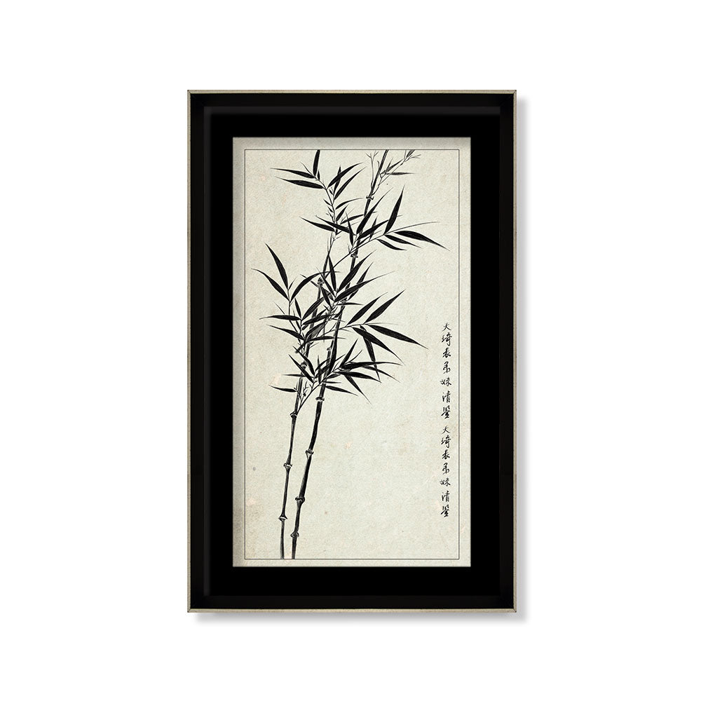 Bamboo 1