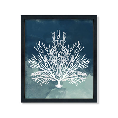Coral azul delgado