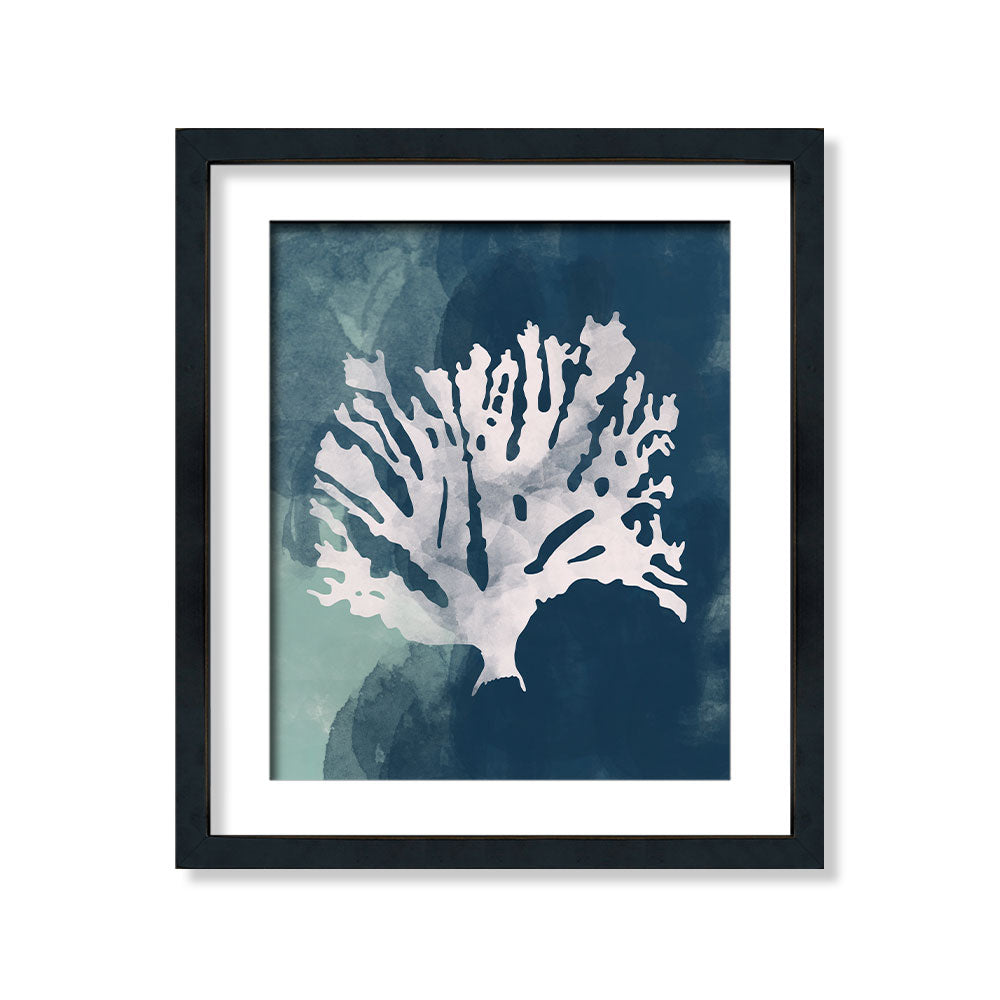 Coral azul árbol