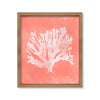 Coral rosado árbol