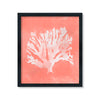 Coral rosado árbol
