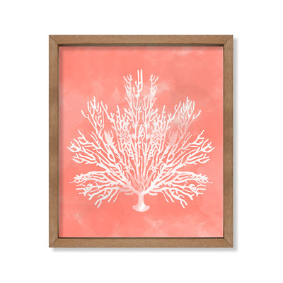 Coral rosado delgado