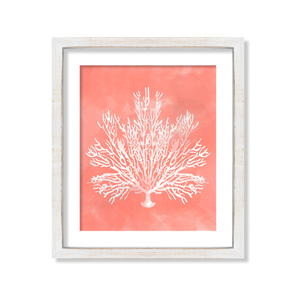 Coral rosado delgado