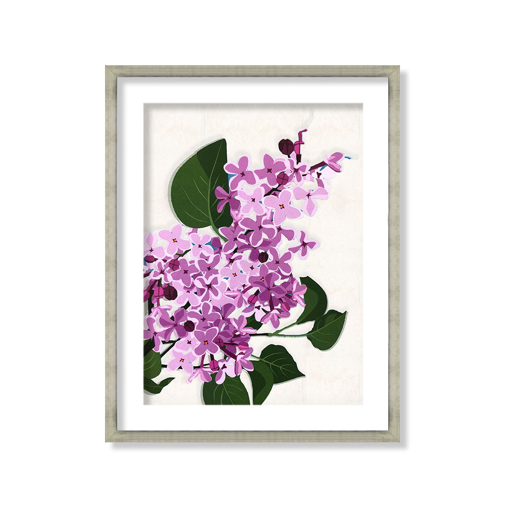 Flor silvestre blanco 11