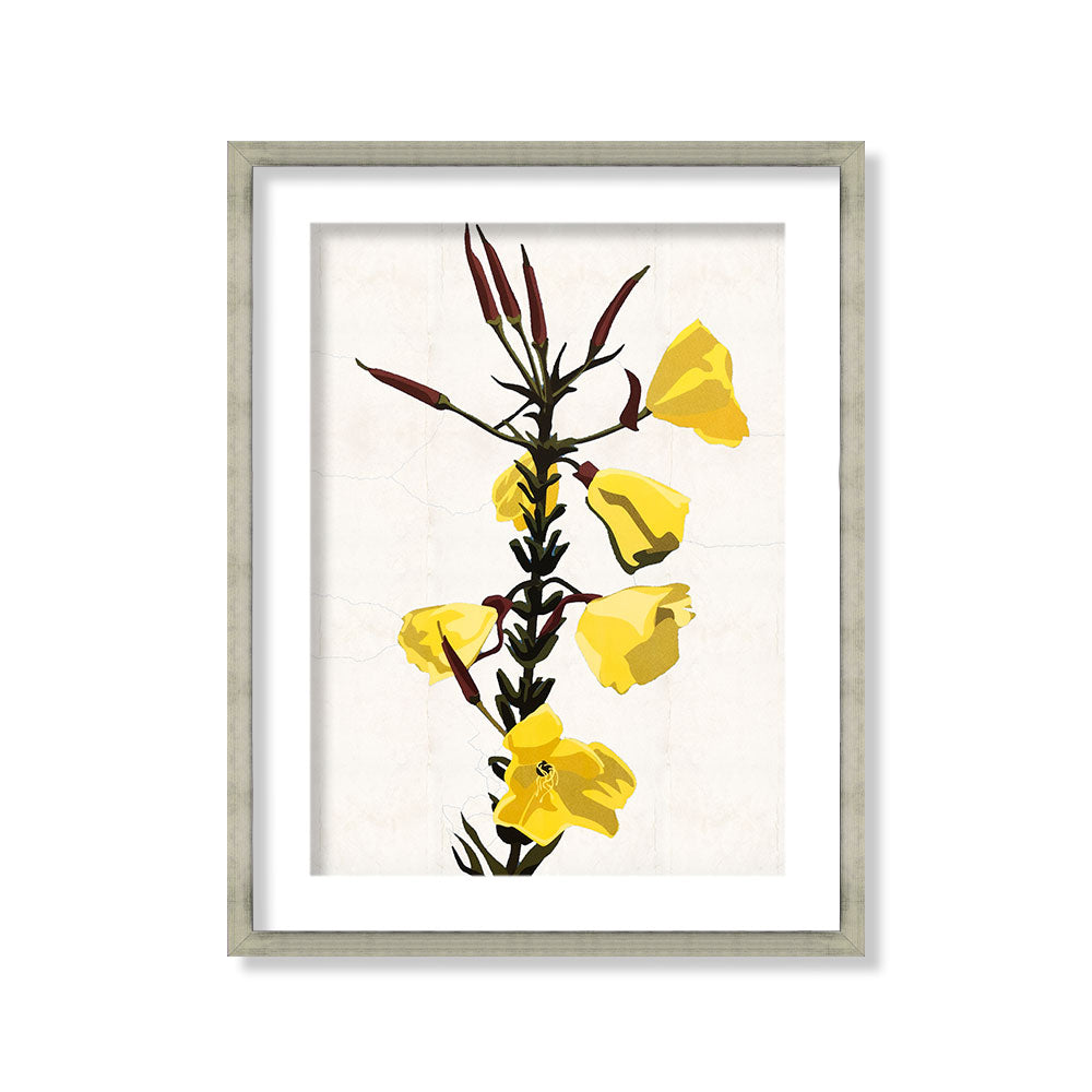 Flor silvestre blanco 13