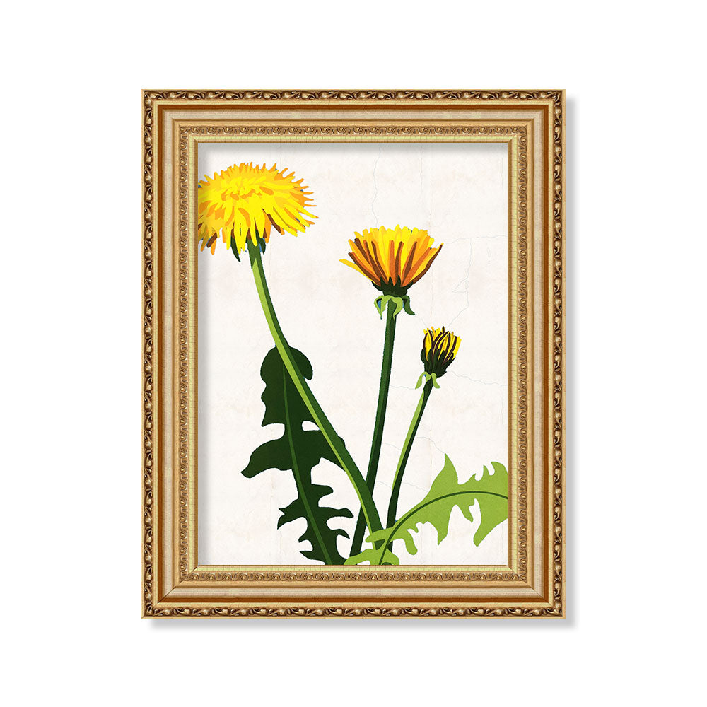 Flor silvestre blanco 3