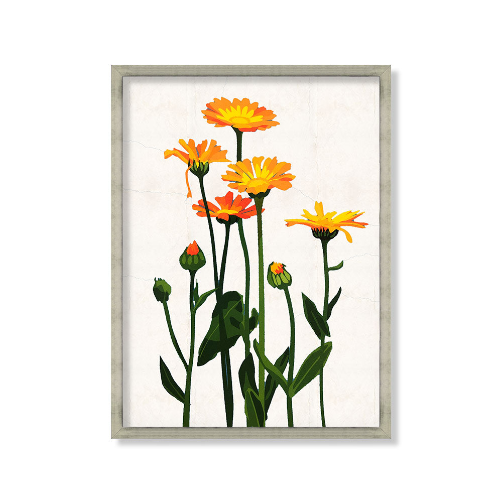 Flor silvestre blanco 4