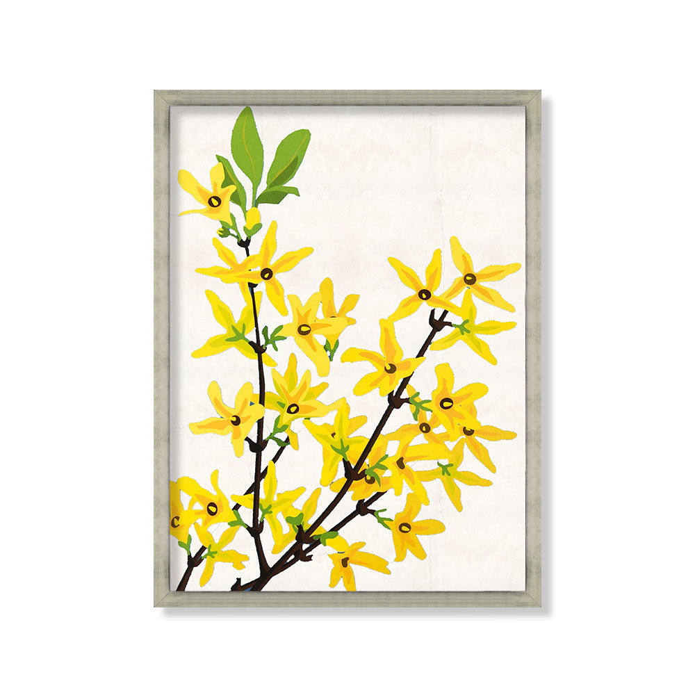 Flor silvestre blanco 6