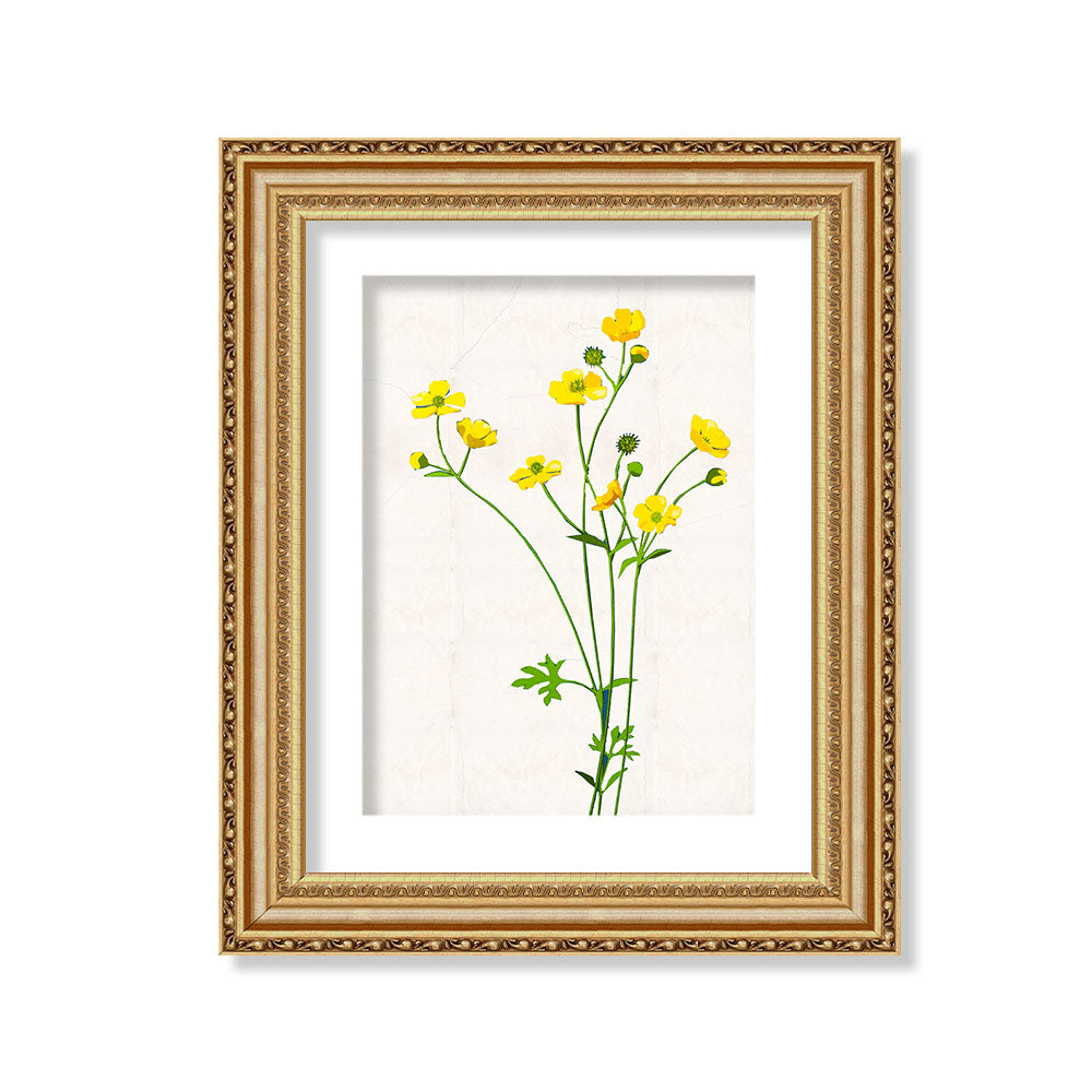 Flor silvestre blanco 8