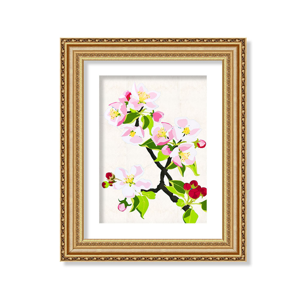 Flor silvestre blanco 9