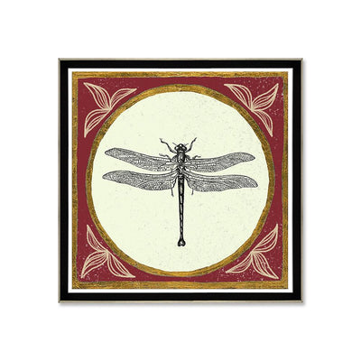 Insectos libélula