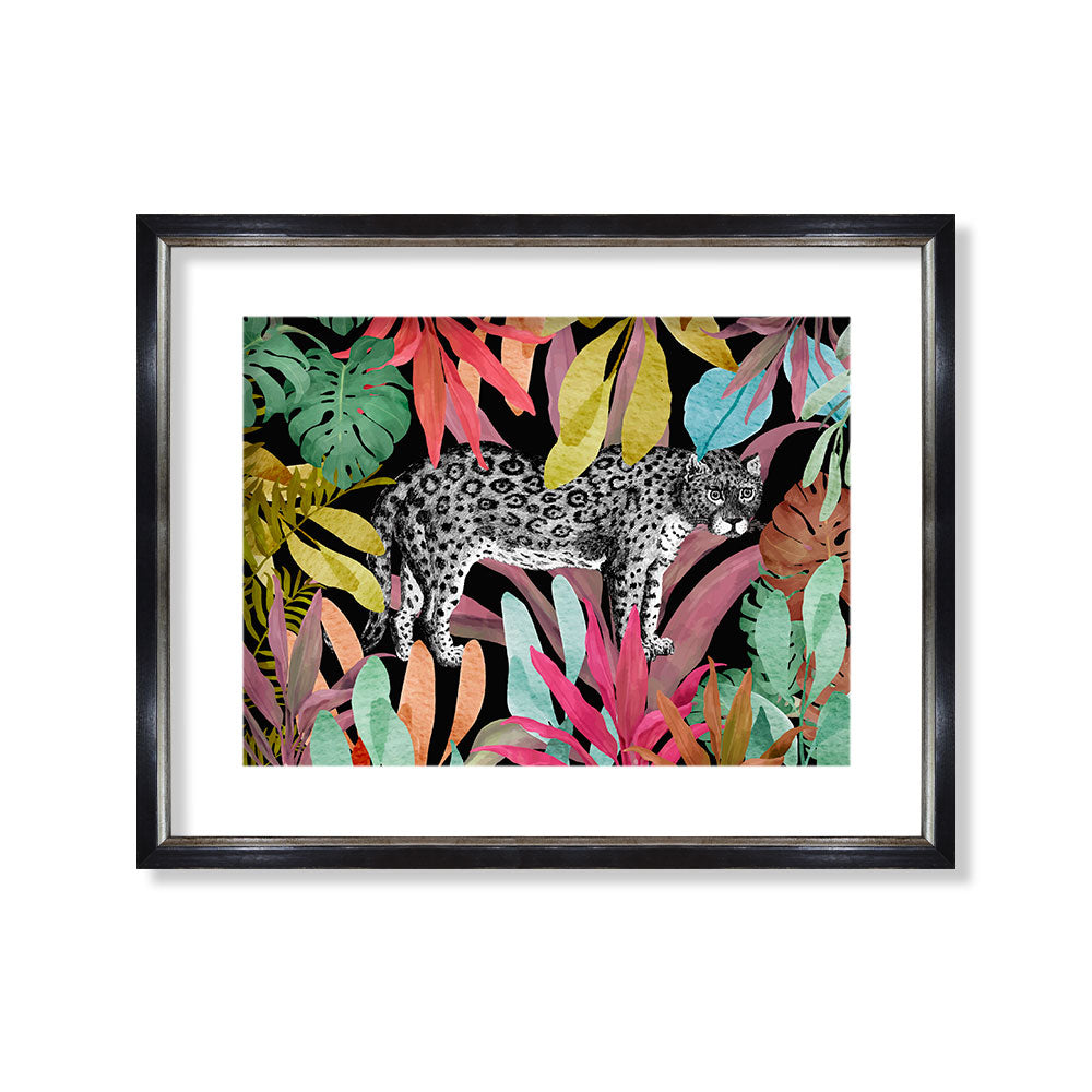 Leopardo jungle black