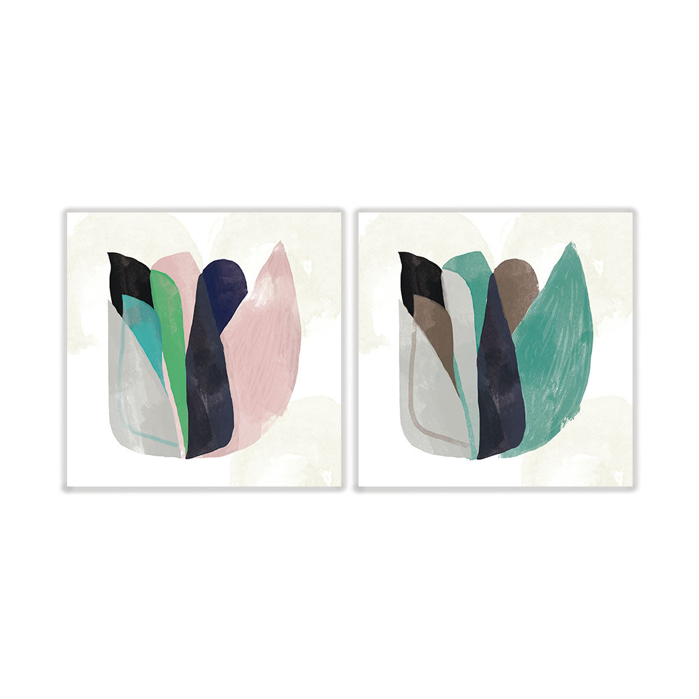 Pack lotus rasado y gris