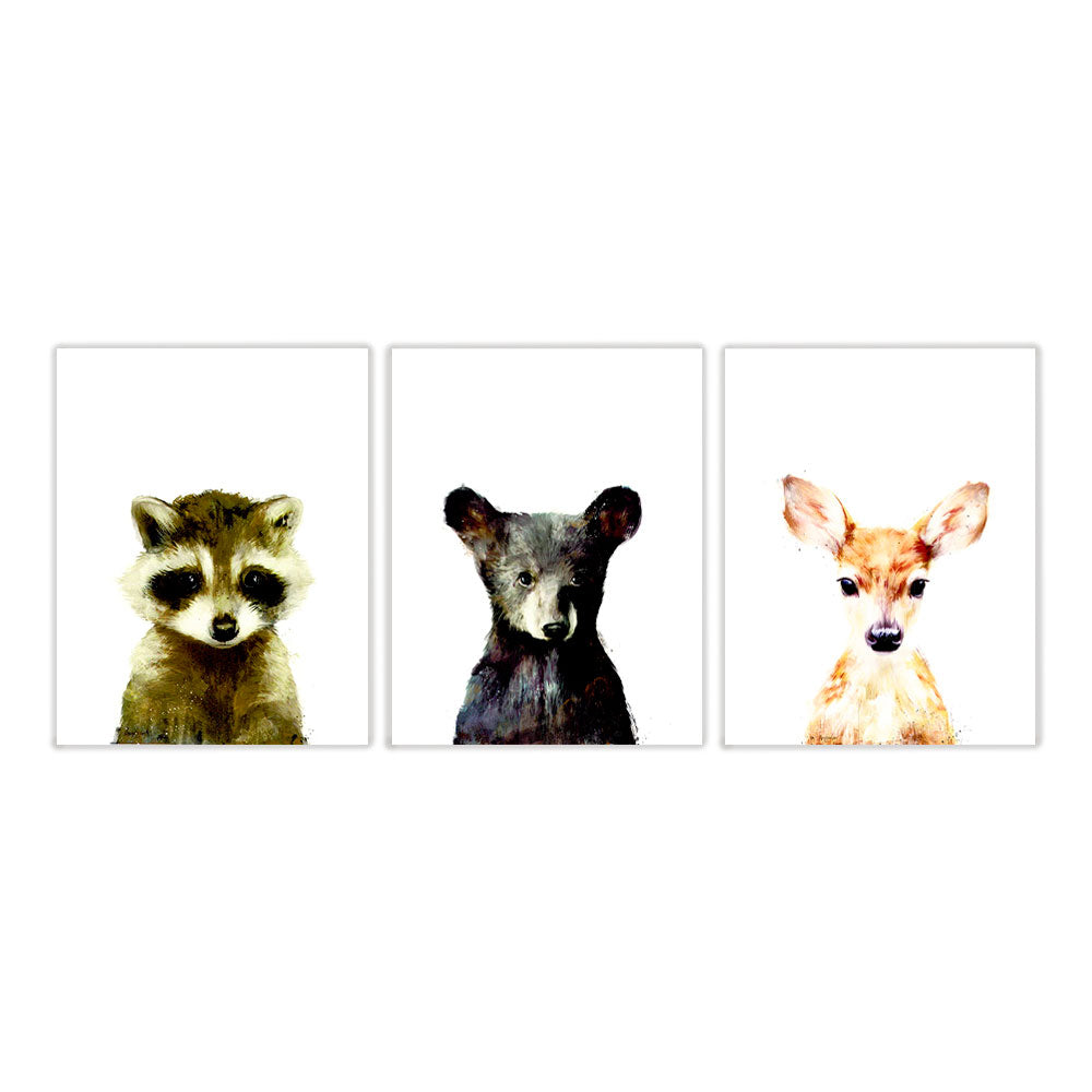 Pack mapache, oso, bambi