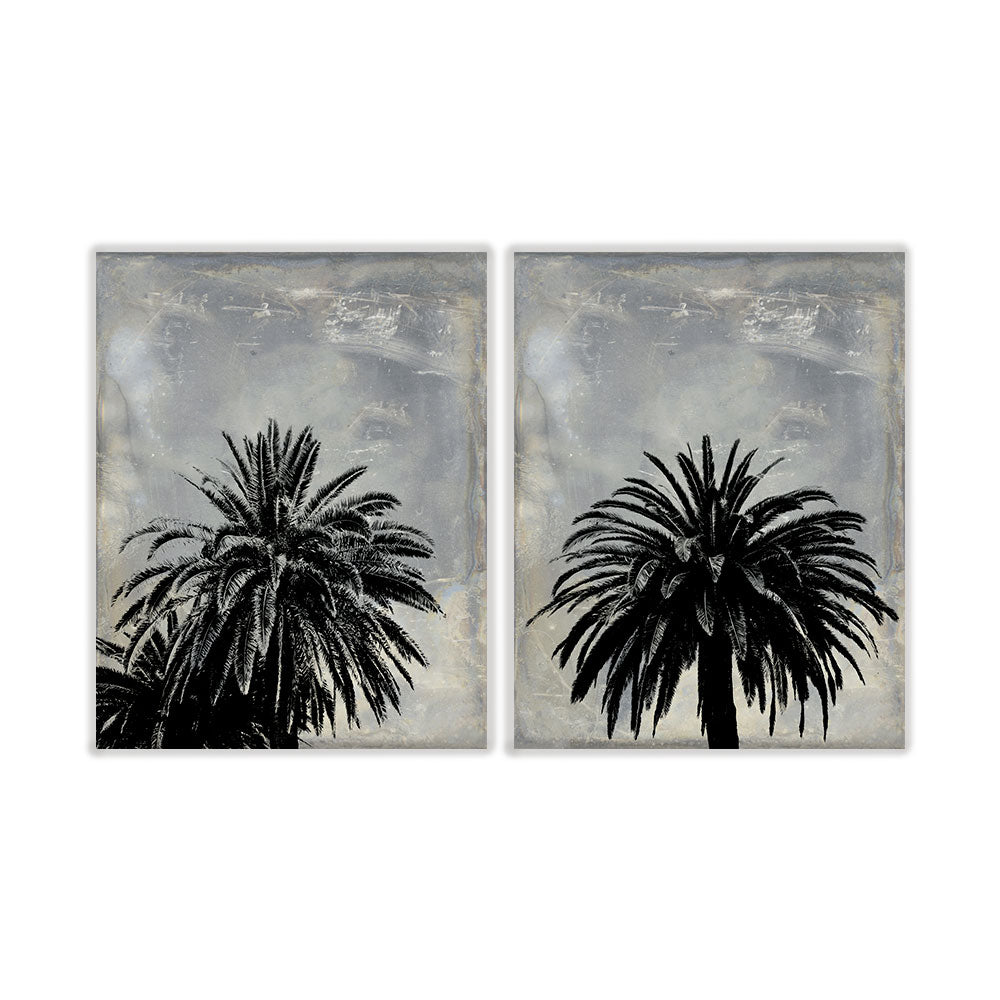 Pack palmeras negras