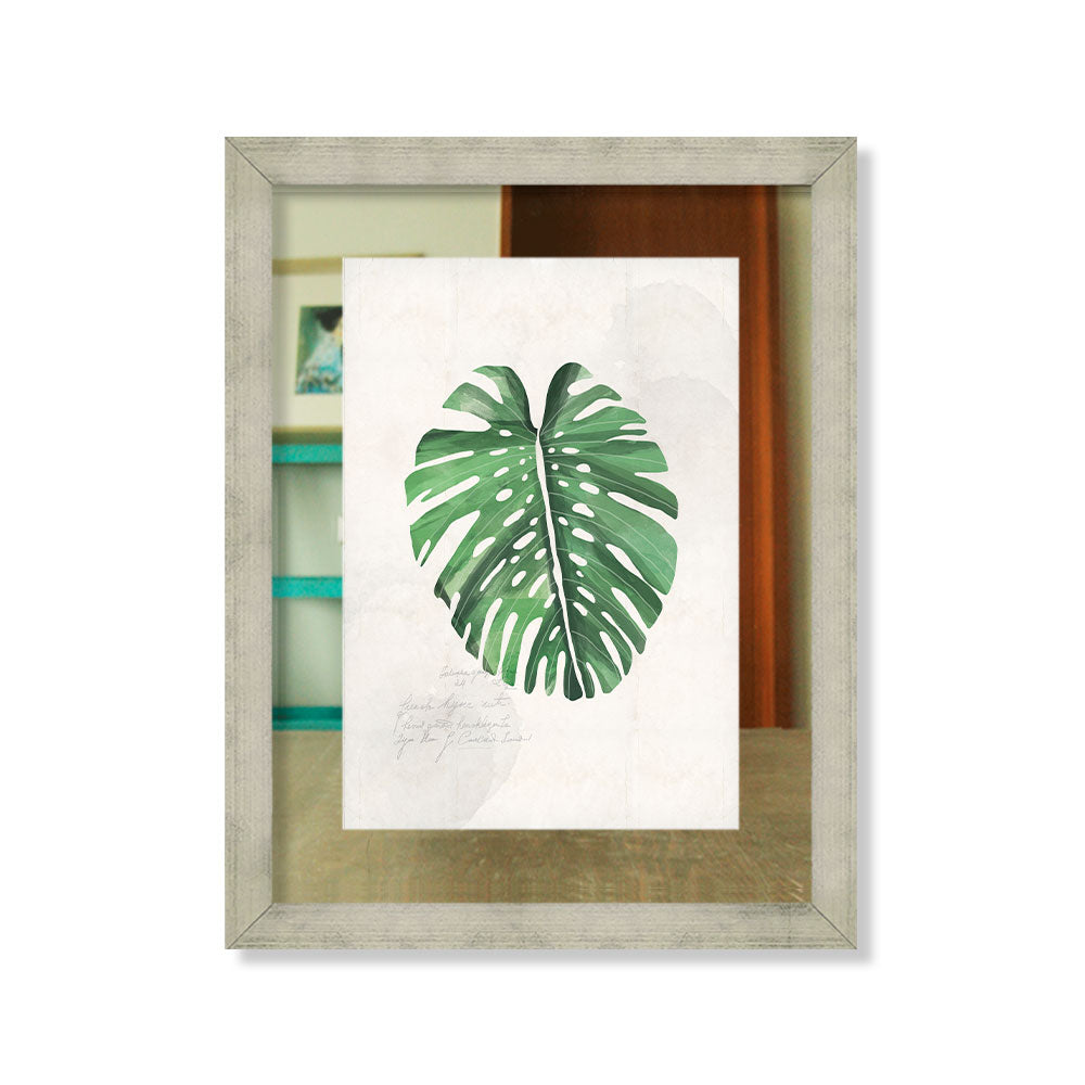 Palmera 1