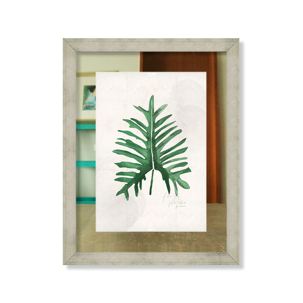 Palmera 2