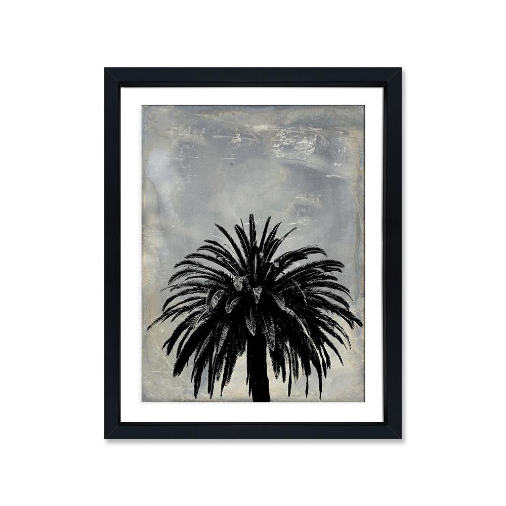 Palmera negra 2