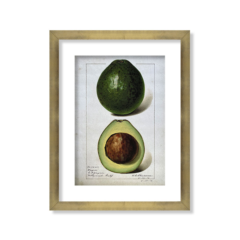 Palta vintage