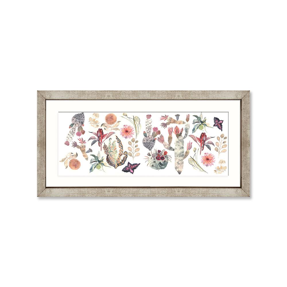 Suculenta horizontal