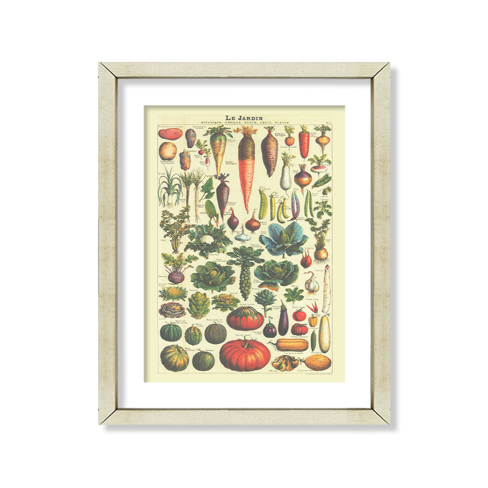 Vintage verduras