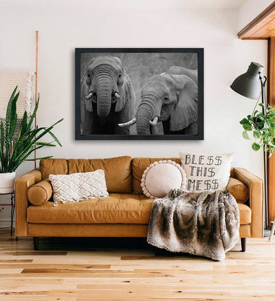 Elefantes 1