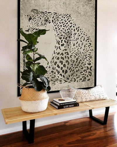 Leopardo gris