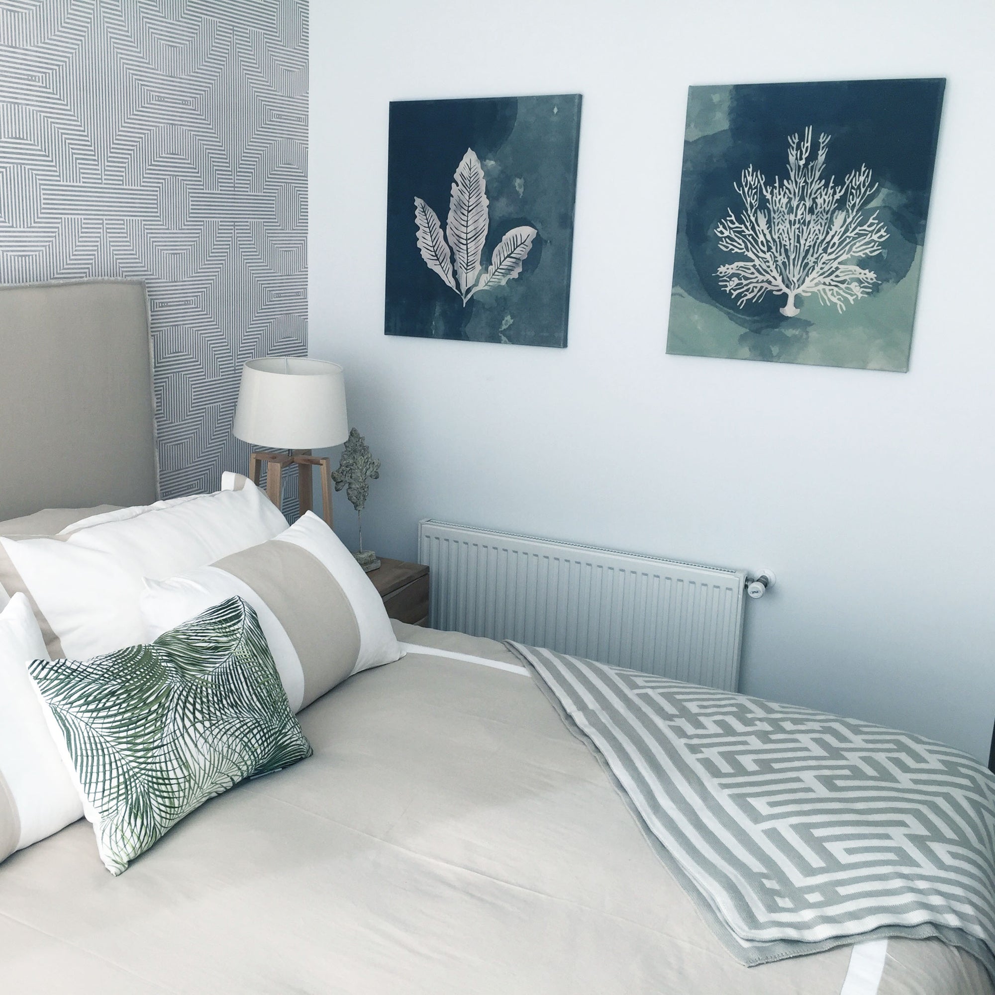 Coral azul delgado canvas