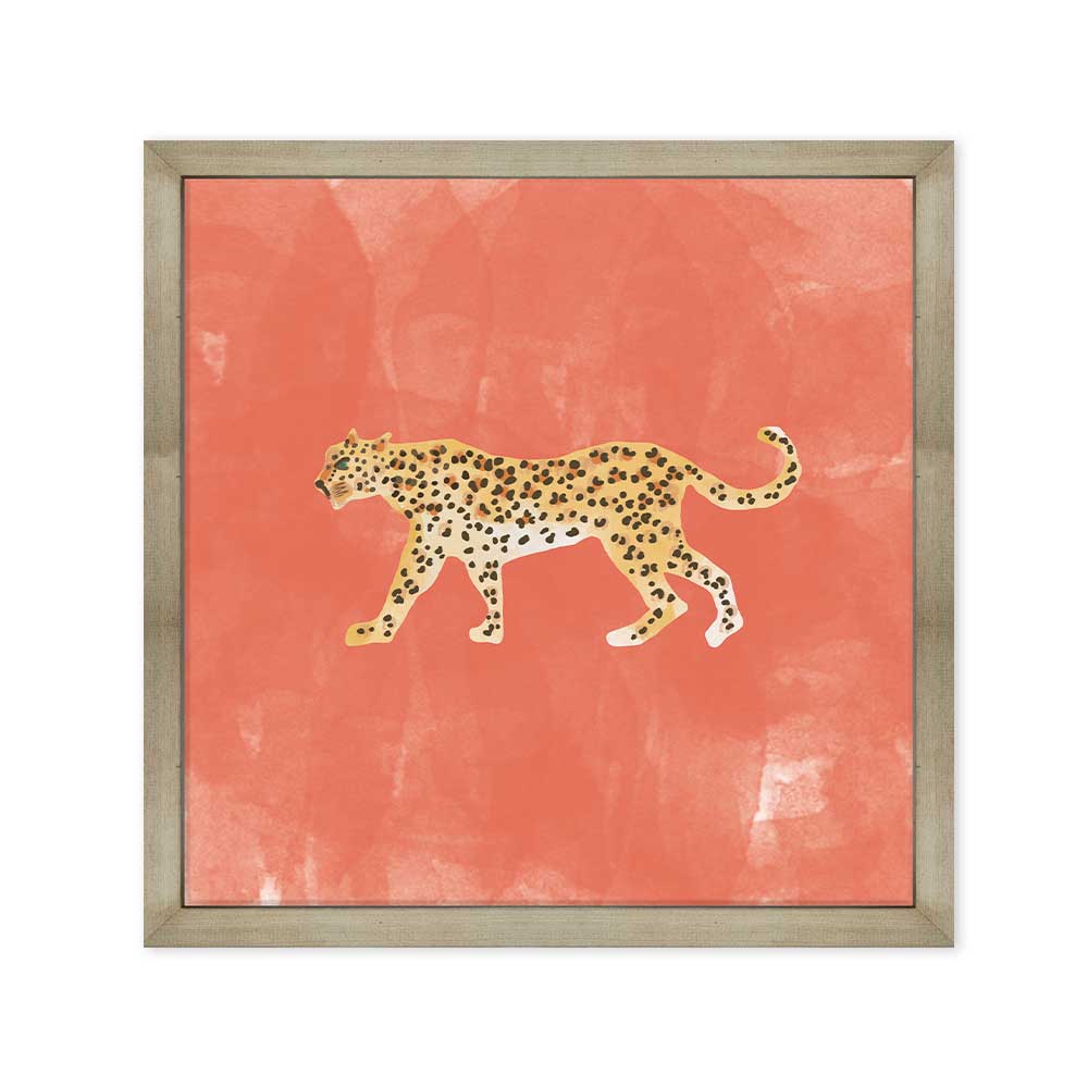 Tigre coral canvas con marco